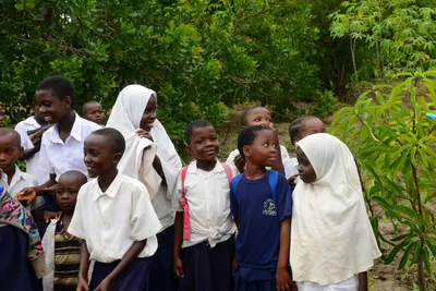 DSC_9421 (Large).JPG